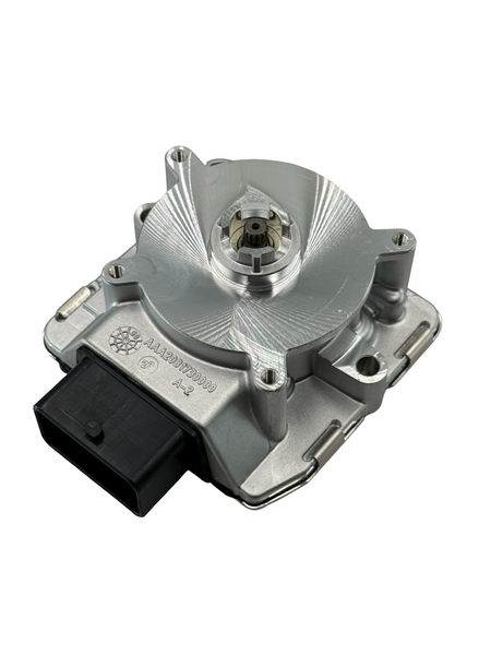 IMG-2219_grande.png?v=1778533673