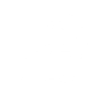 Same-Day Shipping hover